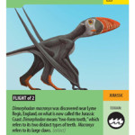 American Museum of Natural History: Pterosaurs the Card Game